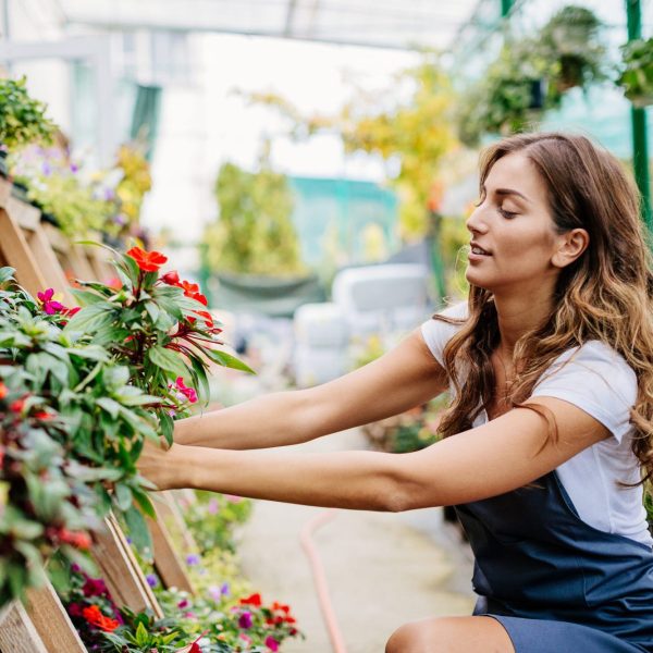 jardinière qui travaille dans les fleurs