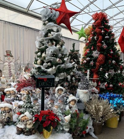 centre-du-jardin-brisson-noel boutique de noel