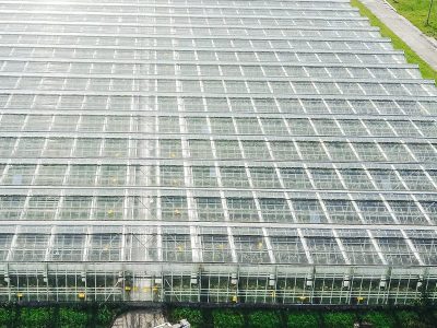 extermination industrielle et agroalimentaire dans une serre