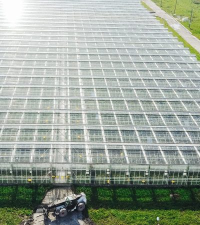 extermination industrielle et agroalimentaire dans une serre